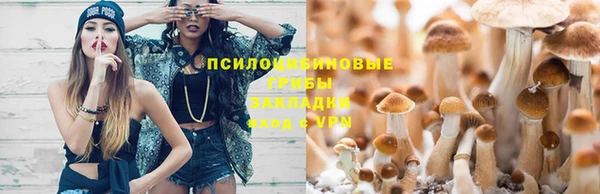 apvp Кинешма