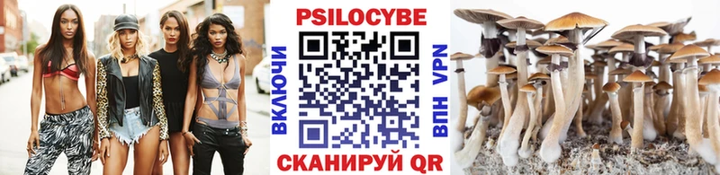 МЕГА как войти  Жиздра  Псилоцибиновые грибы ЛСД 